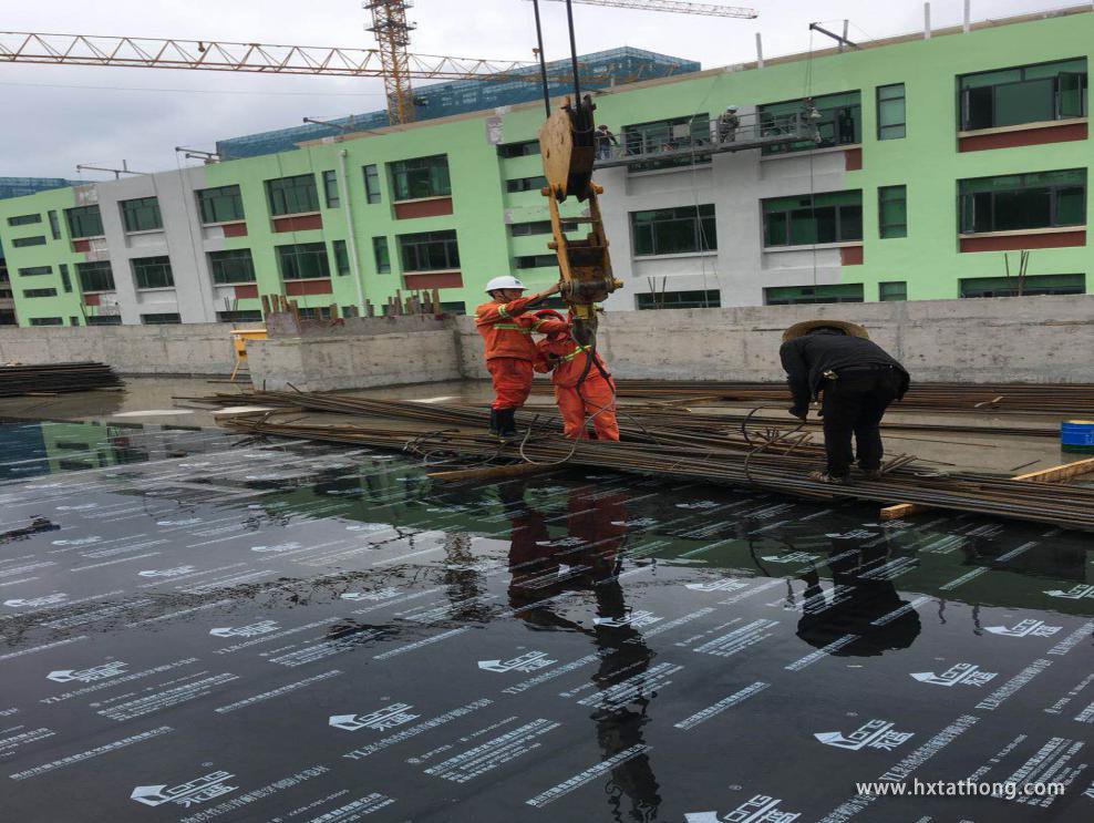 圖片6.jpg 圖片6.jpg